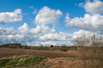 rural landscape in spring