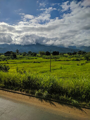 Mikumi, Tanzania - December 6, 2019: Beautiful Tanzania landscape. Green grass grows near the road, in the distance you can see high mountains covered with clouds. Vertical.