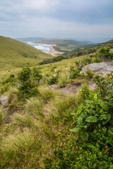 Naklejka premium prati