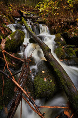 Small river in forest in autumn 