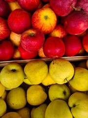 Panier de saisons