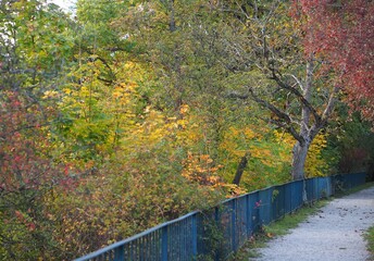 Fototapeta na wymiar Auftanken - Spaziergang im Herbst entlang verfärbter Bäume und Sträucher