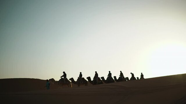 A camel train on the desert. Camel caravan