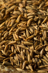 Raw Brown Organic Cumin Seed