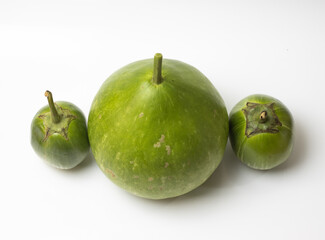 Bottle gourd vegetable with green eggplant on white background