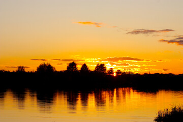 silhouette of trees on the river bank against the background of a yellow sunset.
