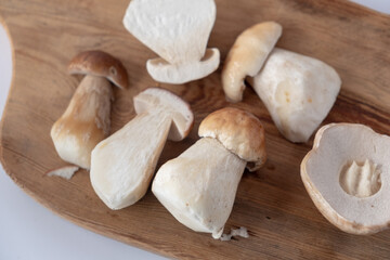 Fresh porcini mushrooms on a wooden board. blur and selective focus