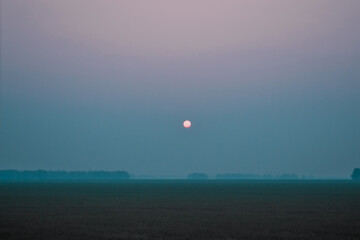 Bright round disk of setting red sun in purple pink sky over green meadow with trees in forest on horizon in blue air haze in the evening, twilight. Summer nature
