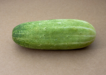 Healthy green fresh cucumber on wooden backgroun