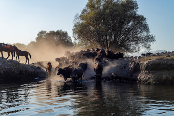 Fototapety na wymiar - Fototapeta24.pl