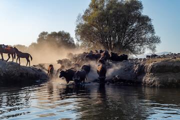Fototapety na wymiar - Fototapeta24.pl