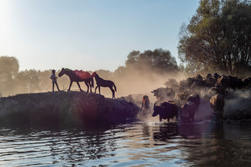 Fototapety na wymiar - Fototapeta24.pl