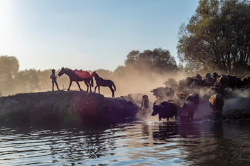 Fototapety na wymiar - Fototapeta24.pl