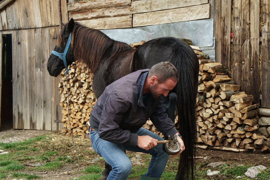 The master pincers removes the grown nail. A farrier works on a horse foot to clean it before creating a horseshoe for the animal