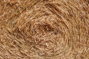 Strohballen nah 