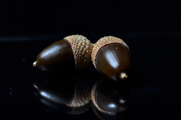 Two brown acorns, with their shell, on a black background	