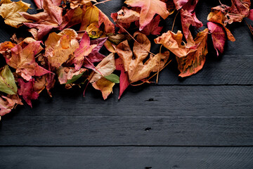 Obraz premium Dry leaves background with vivid colors