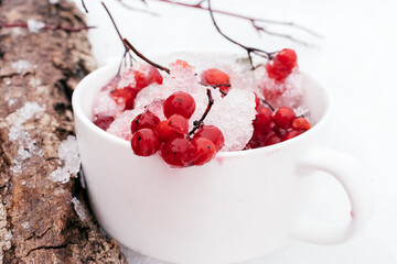 Frozen red berries of viburnum close-up in a white mug standing on the snow.Winter,Christmas and Happy New Year concept.Natural vitamins.