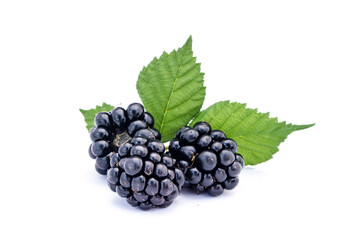 Blackberries isolated on white background