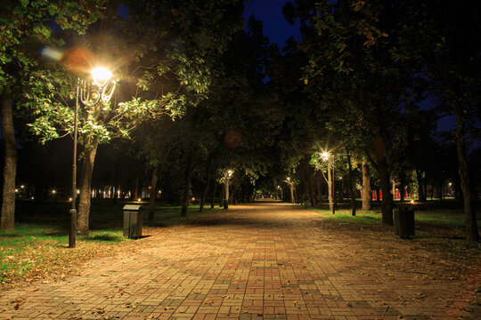 Lanterns in the park along the alley at night or at night