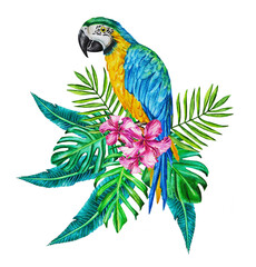 Watercolor realistic illustration of a tropical exotic blue macaw parrot sitting in a bouquet of tropical leaves and flowers. Hand drawn.
