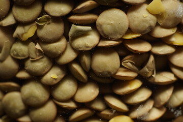 Canned dry Lentils closeup, grains vegan no zero seed waste dry food texture background lucky food photography new years dish vegetarian canned, great for iron ritch diet