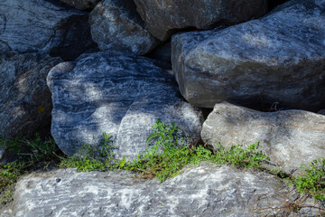 Rocks near the coast
