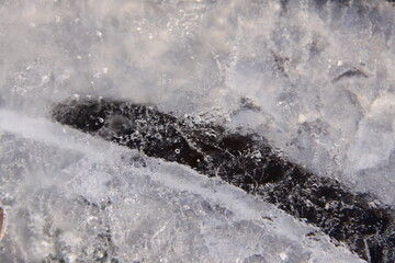 Frozen air bubbles in the ice on a frozen ditch.