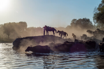 Fototapety na wymiar - Fototapeta24.pl