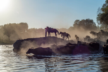 Fototapety na wymiar - Fototapeta24.pl