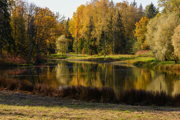 Beautiful view of the autumn park and pond on a sunny morning