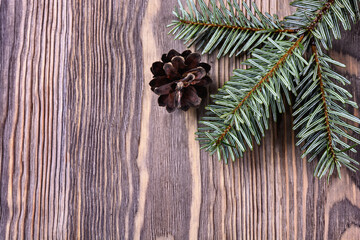 christmas background with fir branches and cones
