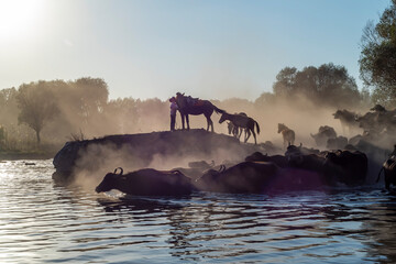 Fototapety na wymiar - Fototapeta24.pl