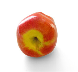 Big red ripe apple  (Ambrosia variety) on table