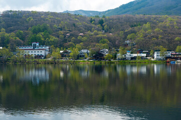 Fototapeta na wymiar 桜と新緑が早春を織りなす湖畔の斜面と水面