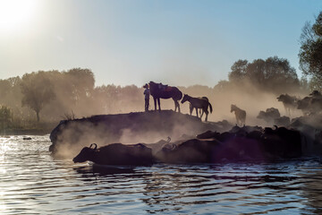 Fototapety na wymiar - Fototapeta24.pl