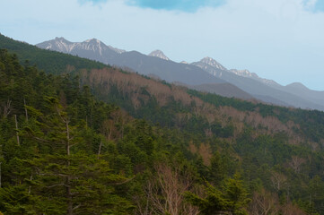 ﾛｰﾌﾟｳｴｰから見た八ヶ岳の眺望
