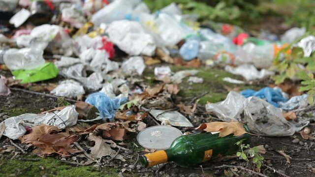 Food scraps and plastic scattered in the forest after picnics. Garbage dump.