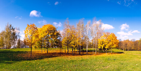 Beautiful bright autumn nature landscape with golden yellow and and orange trees on background of blue sky.