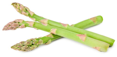 Fresh green asparagus isolated on white background