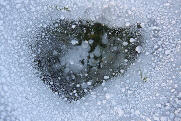 Frozen air bubbles in the ice on a ditch.	
