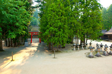 壇上伽藍の鳥居