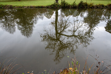 herbstlich gefärbte Laub Bäume im Park mit Spiegelung im Wasser