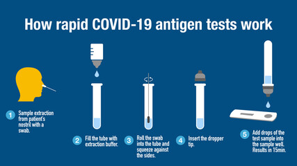 How rapid COVID-19 antigen tests work