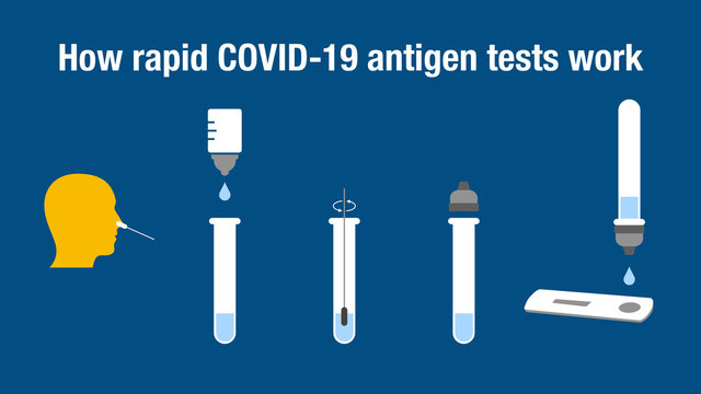 How rapid COVID-19 antigen tests work
