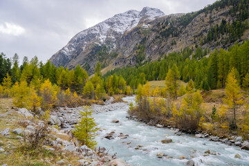 Engadin