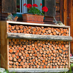 Alles aus Holz in österreichischen Wäldern