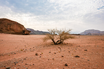 Picturesque landscape in Timna National Park in the Arava Valley near Eilat. Israel.