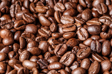 Freshly roasted coffee beans background.Dark roasted coffee beans with scoop on wooden background.