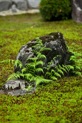 龍源院　竜吟庭